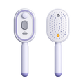 Steam Hair Brush